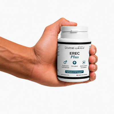Pack EREC MAX - IN / OUT