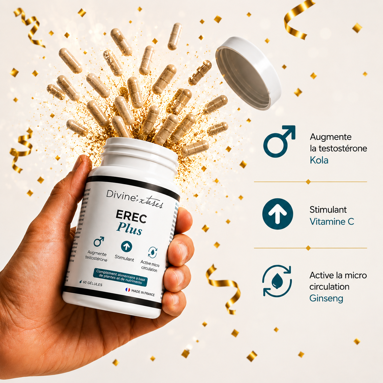 EREC PLUS